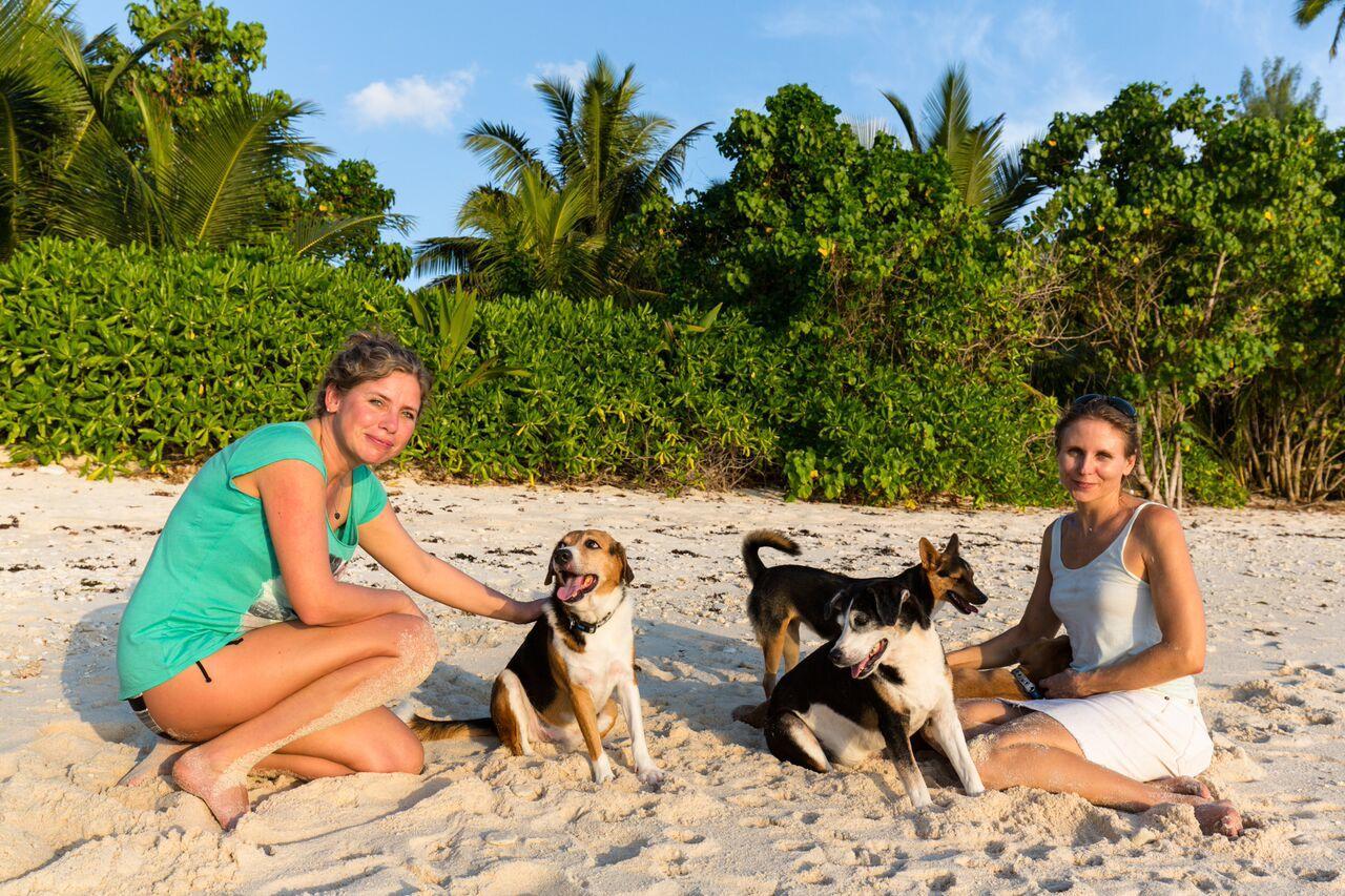 Villas Du Voyageur Grand Anse  Ngoại thất bức ảnh