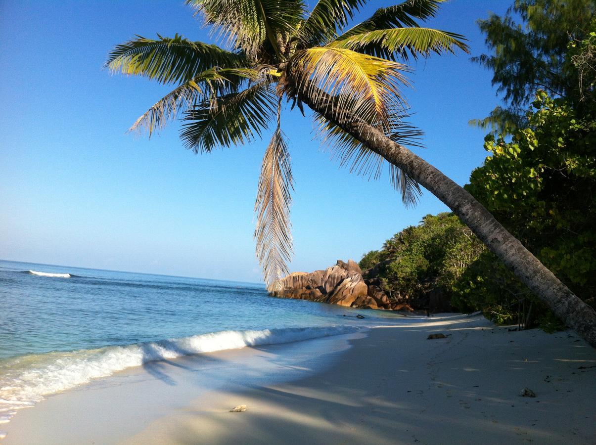 Villas Du Voyageur Grand Anse  Ngoại thất bức ảnh